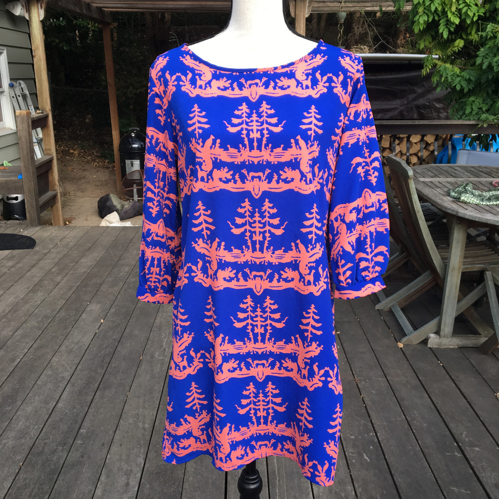 Anthro graphic print tunic dress